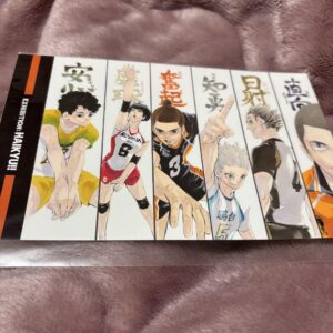 Haikyu Large Postcard Original Art Exhibition Tokyo Limited Goods F/S-M501 from