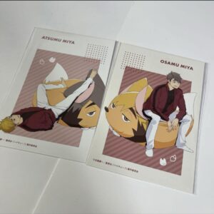 Haikyu Janfes 2024 Limited Sold Out Item Postcard Miyayu Miyaji F/S-M501 from ja