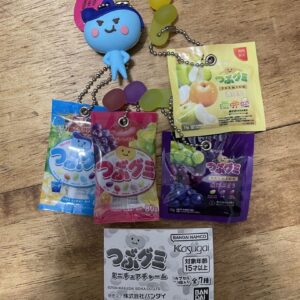Gacha Tub Gummy Miniature Charm 5-Piece Set F/S-M503 from japan Rare  Good condi