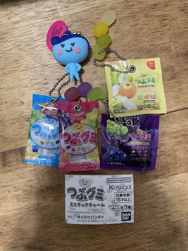 Gacha Tub Gummy Miniature Charm 5-Piece Set F/S-M503 from japan Rare  Good condi