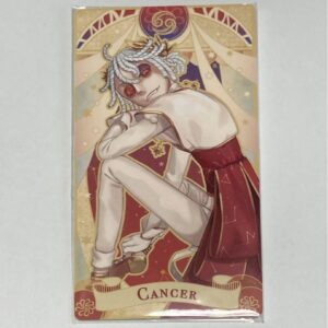 Personality V: Zodiac Sign Series Tarot Card Prisoner F/S-M501 from japan Rare