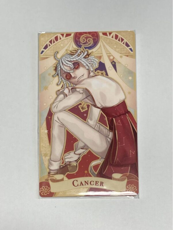 Personality V: Zodiac Sign Series Tarot Card Prisoner F/S-M501 from japan Rare