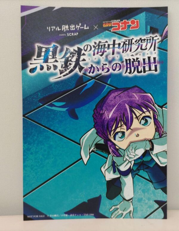 Detective Conan Haibara Ai Postcard Real Escape Game Limited F/S-M501 from japan
