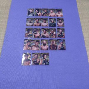 Rizin Wafers F/S-M501 from japan Rare  Good condition