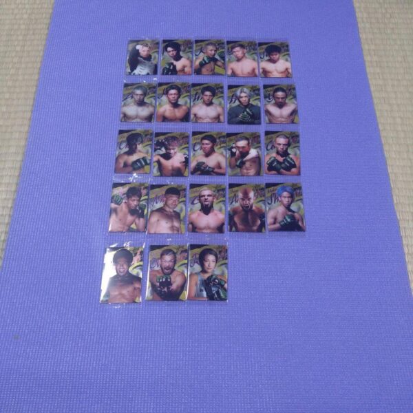 Rizin Wafers F/S-M501 from japan Rare  Good condition