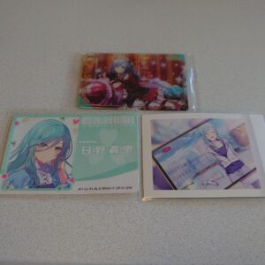 Project Seka Hino Morishizuku Wafer Card Pashakore Die Cut Sticker F/S-M501 from