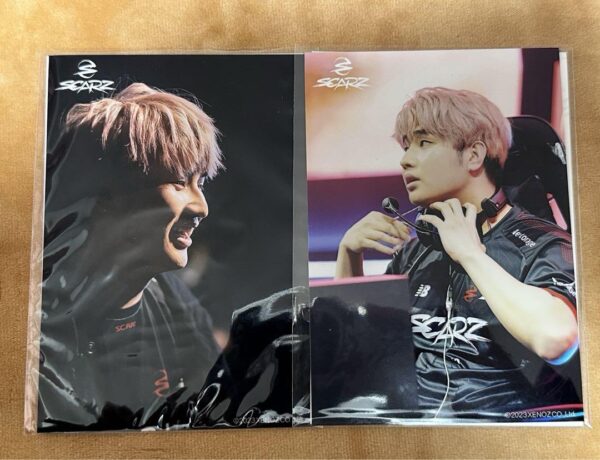 Miraikan Player Goods Scarz Personality 5 Ijl F/S-M501 from japan Rare  Good con