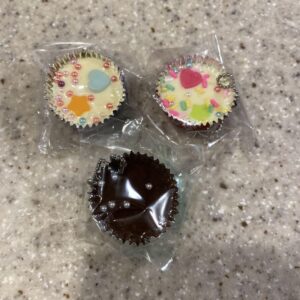 Valentine'S Day Chocolate Mascot I Made Back Then Gacha F/S-M503 from japan Rare