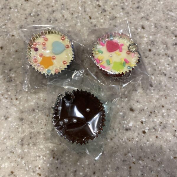 Valentine'S Day Chocolate Mascot I Made Back Then Gacha F/S-M503 from japan Rare