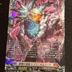 Ryuki'S Ikuni Trike Gimurad Fr F/S-M503 from japan Rare  Good condition