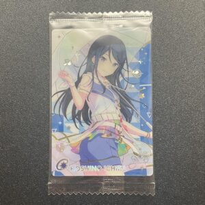 Hoshino Kazuka Card Project Seka Wafer F/S-M501 from japan Rare  Good condition
