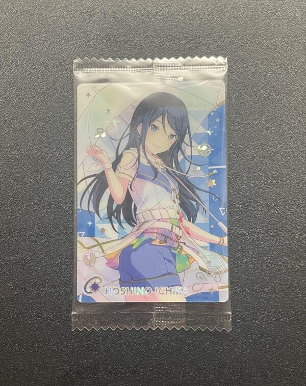 Hoshino Kazuka Card Project Seka Wafer F/S-M501 from japan Rare  Good condition