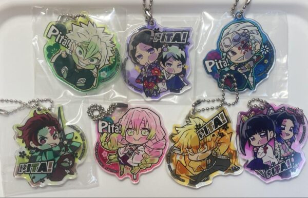 Demon Slayer Pita Deform Acrylic Keychain F/S-M501 from japan Rare  Good conditi