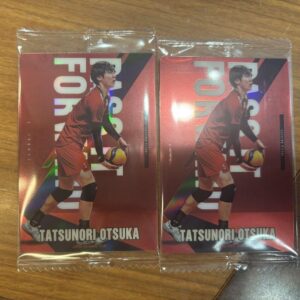 Dragon God Nippon Wafer Otsuka Tatsunori F/S-M501 from japan Rare  Good conditio