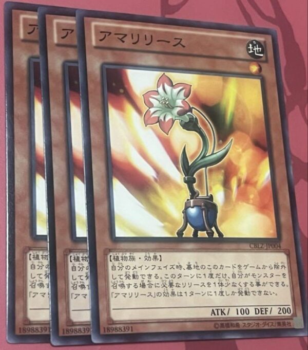 Ama Release F/S-M503 from japan Rare  Good condition