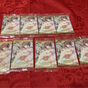 Uma Musume Pretty Derby Twin Wafers 8Th Race Dant'S Frame 9 F/S-M501 from japan