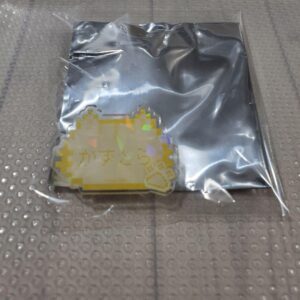 Hamiya Kazutora Name Badge Acrylic Purchased Nanja Town Cattag F/S-M501 from jap