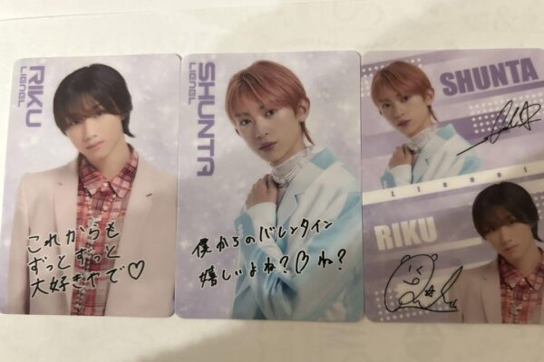 Ebidan Card Included Wafer Lienel F/S-M501 from japan Rare  Good condition
