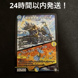 Cariadone F/S-M503 from japan Rare  Good condition