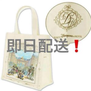 Disneyland Hotel Limited Tote Bag Tdl Tds Lunch F/S-M503 from japan Rare  Good c