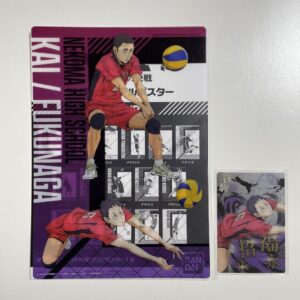 Haikyu Clear Visual Card Wafer F/S-M501 from japan Rare  Good condition
