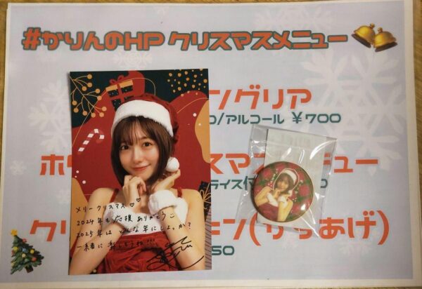 Isobe Karin'S Website 2024 Christmas Event Admission Benefits F/S-M501 from japa
