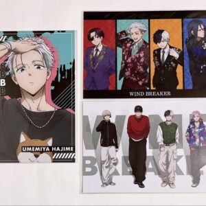 Wimbre Umemiya Kazuto Street Ver. Postcard Seven-Limited F/S-M501 from japan Rar