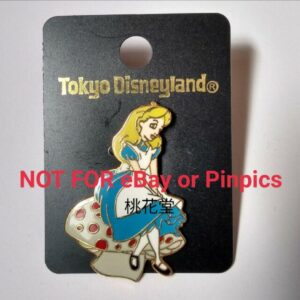 Tdl Tokyo Disneyland Disney Alice In Mysterious Land Pin Badge F/S-M503 from jap