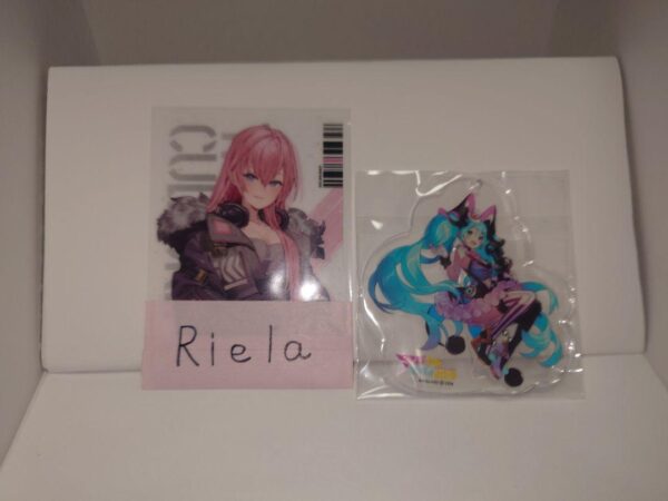 Magical Mirai 2019 Blu-Ray Bonus Hatsune Miku F/S-M501 from japan Rare  Good con