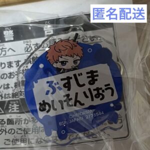 Dokushima Mason Rioyoi Hypnosis Microphone Name Acrylic Badge F/S-M501 from japa