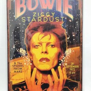 David Bowie Rock Band Tin Signboard Iron Metal Plate F/S-M501 from japan Rare  G