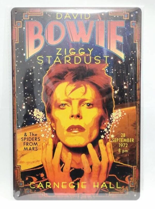 David Bowie Rock Band Tin Signboard Iron Metal Plate F/S-M501 from japan Rare  G