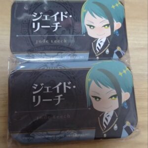 Twisted Wonderland Namco Square Name Can Badge Jade 2-Piece Set F/S-M503 from ja