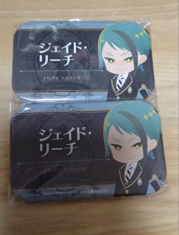 Twisted Wonderland Namco Square Name Can Badge Jade 2-Piece Set F/S-M503 from ja