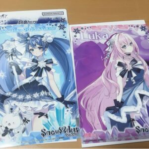 Hatsune Miku Snow 2025 Clear Visual Poster Set Of 2 F/S-M501 from japan Rare  Go