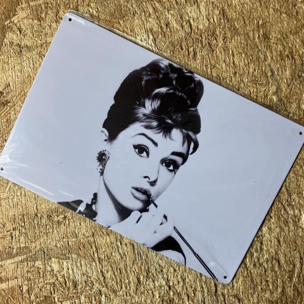 2 Audrey Hepburn Tin Sign F/S-M501 from japan Rare  Good condition