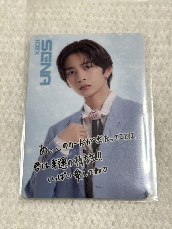 Ebidan Wafer Card Takeno Yohaku F/S-M501 from japan Rare  Good condition