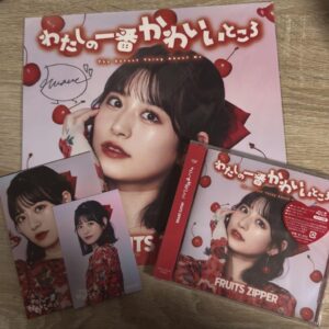My Cutest Place: Moonlight Amane Mega Jacket F/S-M501 from japan Rare  Good cond
