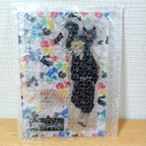 Tokyo Revengers Matsuno Chifuyu Acrylic Stand Black Cat Baji F/S-M501 from japan