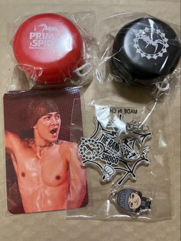Iwatani Shogo Swaying Keychain Trading Card Yo-Yo F/S-M503 from japan Rare  Good