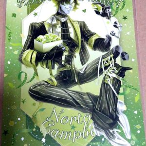 Fools Gold Postcard F/S-M501 from japan Rare  Good condition