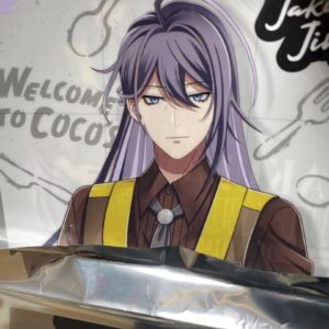 Jinguji Jakurai Cocos Clear File F/S-M501 from japan Rare  Good condition