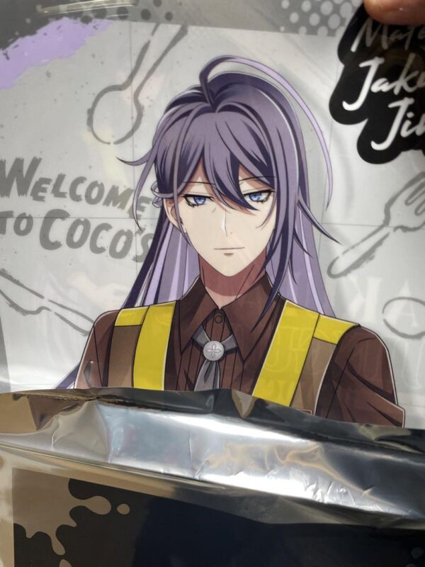 Jinguji Jakurai Cocos Clear File F/S-M501 from japan Rare  Good condition