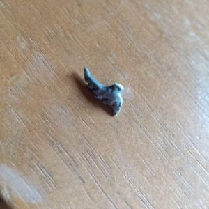 Special Effects Encyclopedia Destroyer Protrusion Parts F/S-M503 from japan Rare