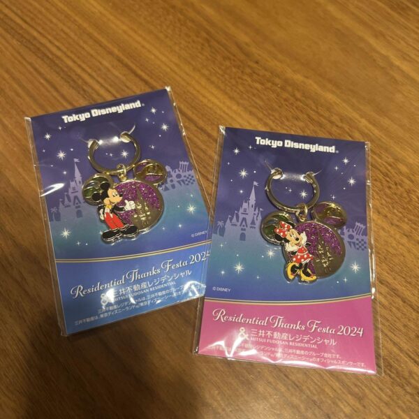 Tokyo Disneyland Keychain Set F/S-M503 from japan Rare  Good condition
