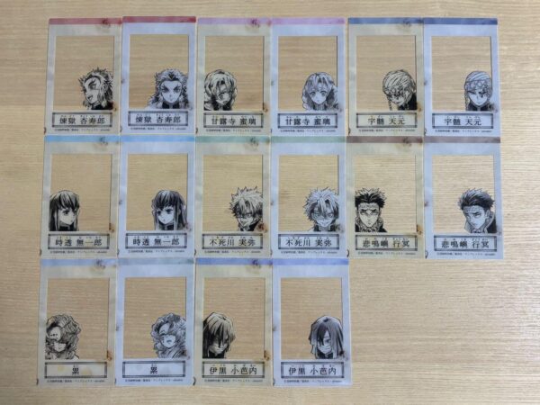 Demon Slayer: Kimetsu No Yaiba Sharing Memory Collection Pillar 16 Pieces Set F/