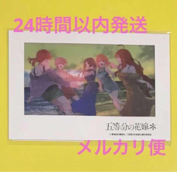 The Quintessential Quintuplets Movie Theater-Only Clear Frame Postcard F/S-M501