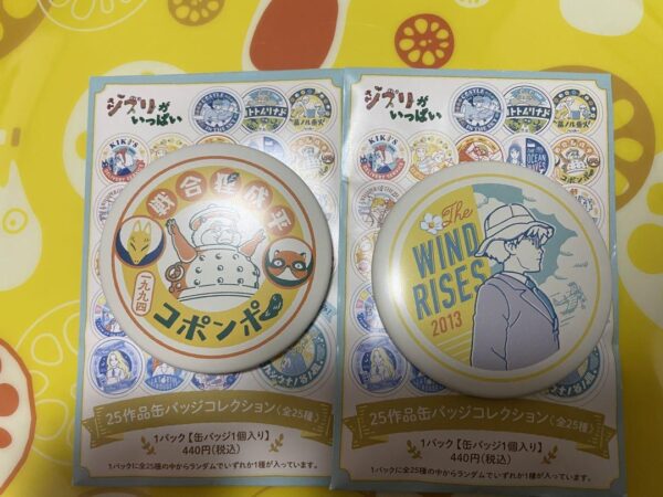 Ghibli Can Badge F/S-M503 from japan Rare  Good condition