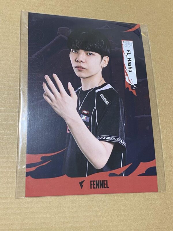 Personality 5 Fennel Hasha Postcard F/S-M501 from japan Rare  Good condition