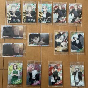 Wind Breaker Wafer Cards Set Of 14 F/S-M501 from japan Rare  Good condition